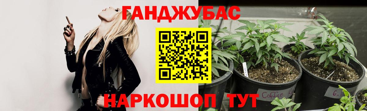 Сальск  Шишки марихуана Ganja  Марихуана VHQ  Вход с VPN  Шишки марихуана конопля 